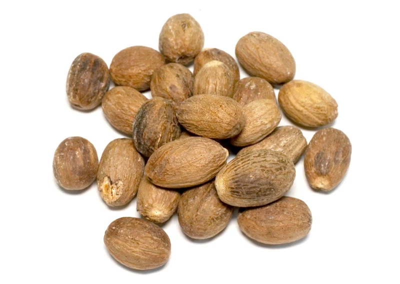 Nutmeg SS (Sound & Select)